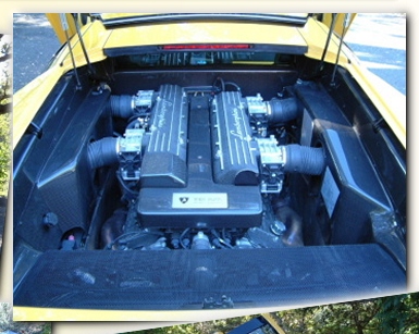 Rick's Lamborghini Murcielago Engine